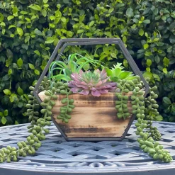 Flora Bunda® 11" Succulent Arrangement in Hexagon Wood & Metal Wall Accent