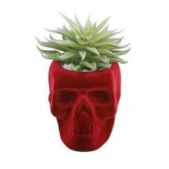Flora Bunda® Succulent in Burgundy Flocked Ceramic Skull