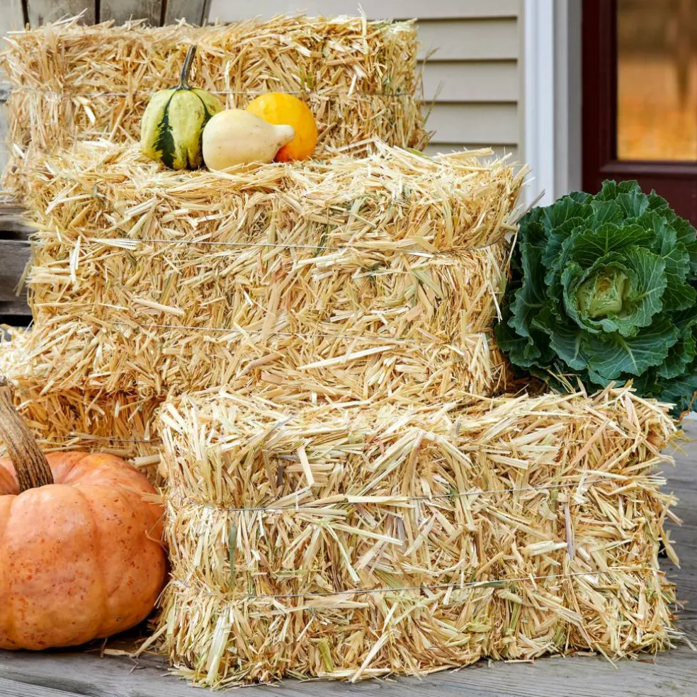 FloraCraft® Decorative Straw Bale