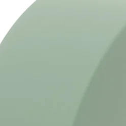FloraCraft® DryFōM Disc Green