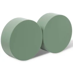 FloraCraft® DryFōM Disc Green