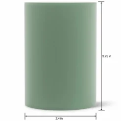 FloraCraft® DryFōM Mug Plug Green