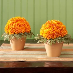 FloraCraft® FloraFōM Half Ball Green