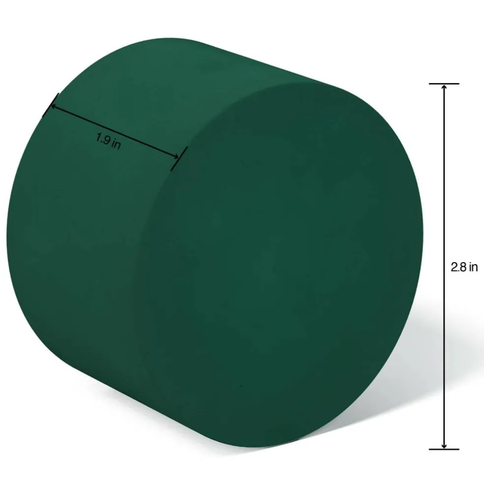FloraCraft® 1.75" x 2.75" Green Artesia WetFōM® Discs, 2ct.