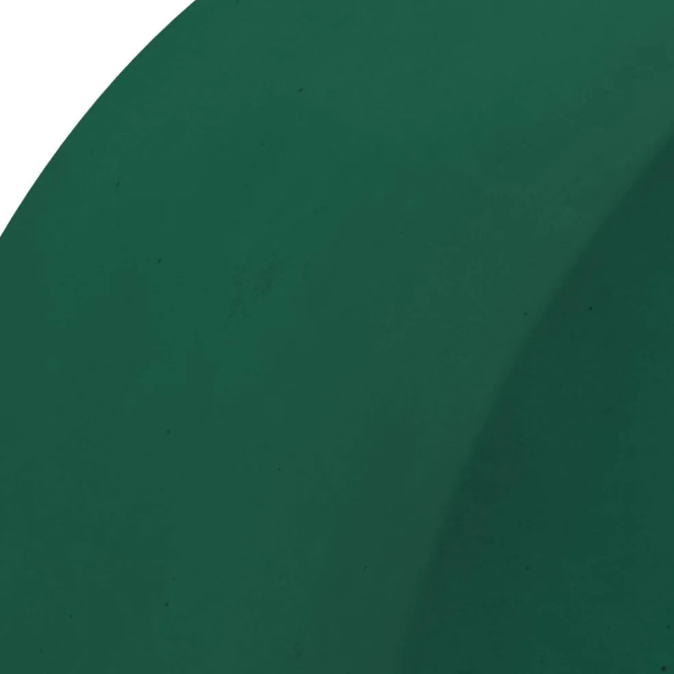FloraCraft® 1.75" x 2.75" Green Artesia WetFōM® Discs, 2ct.