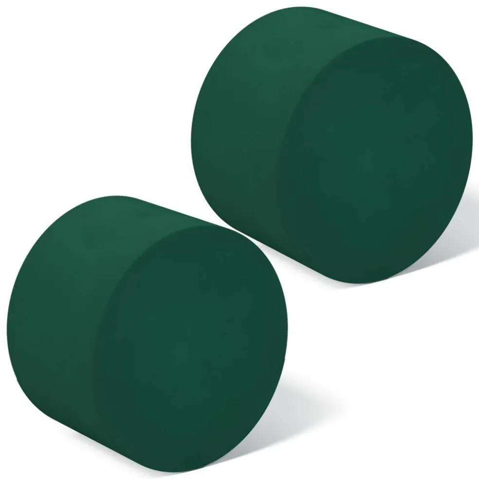 FloraCraft® 1.75" x 2.75" Green Artesia WetFōM® Discs, 2ct.