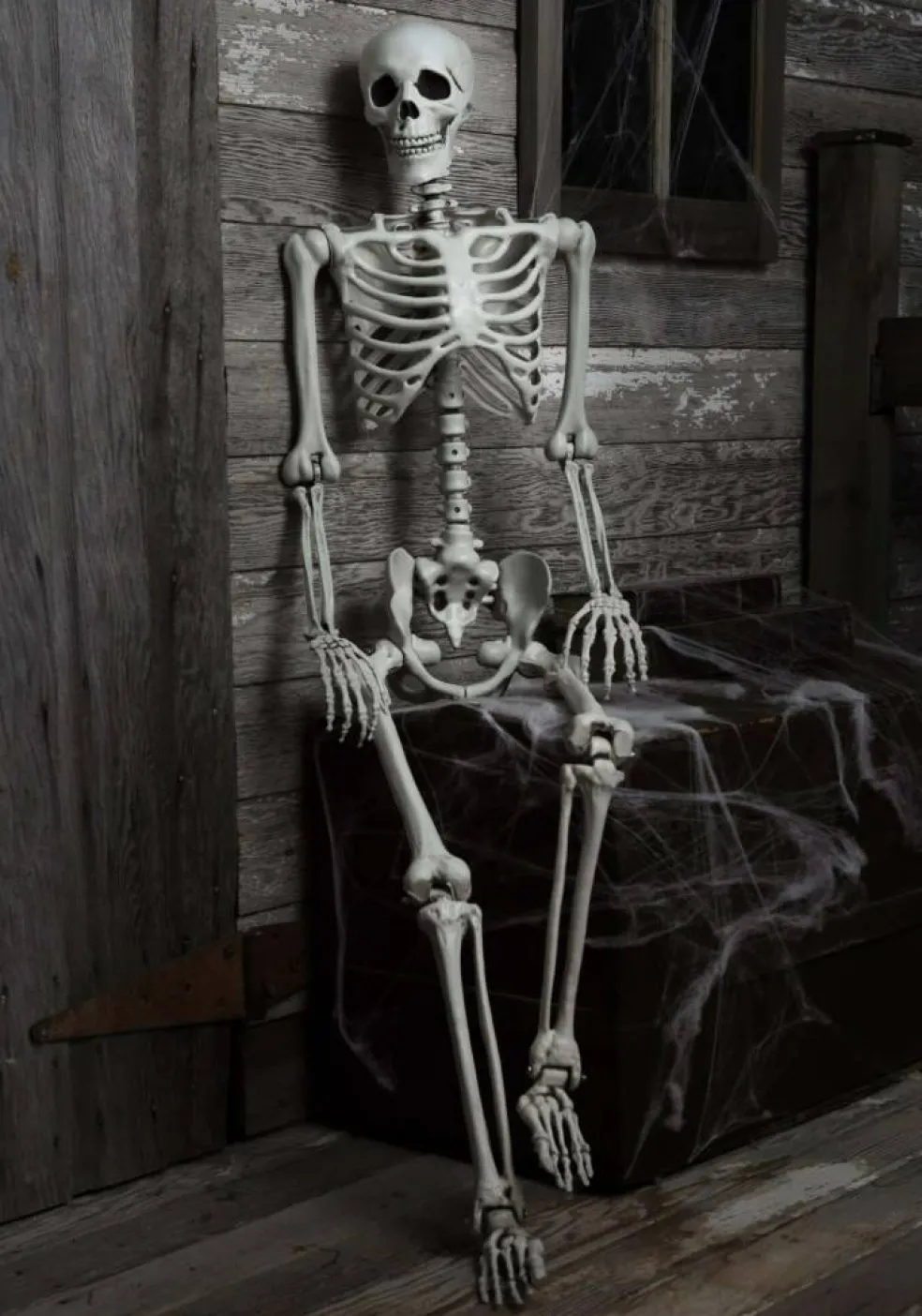 5 Foot Posable Georgie the Skeleton Life Size Prop