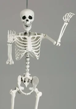 5 Foot Posable Georgie the Skeleton Life Size Prop