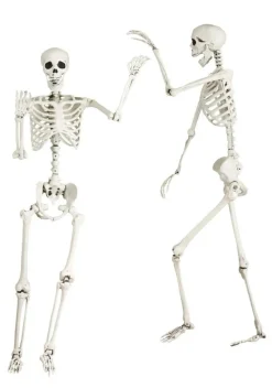 5 Foot Posable Georgie the Skeleton Life Size Prop