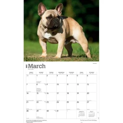 For the Love of French Bulldogs | 2027 14 x 24 Inch (Hanging) Monthly Deluxe Wall Calendar | Foil Stamped Cover | Plastic-Free