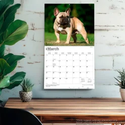 For the Love of French Bulldogs | 2027 14 x 24 Inch (Hanging) Monthly Deluxe Wall Calendar | Foil Stamped Cover | Plastic-Free