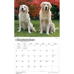 For the Love of Golden Retrievers | 2027 14 x 24 Inch (Hanging) Monthly Deluxe Wall Calendar | Foil Stamped Cover | Plastic-Free