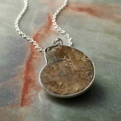 Fossil Shell Pendant by Bead Landing™