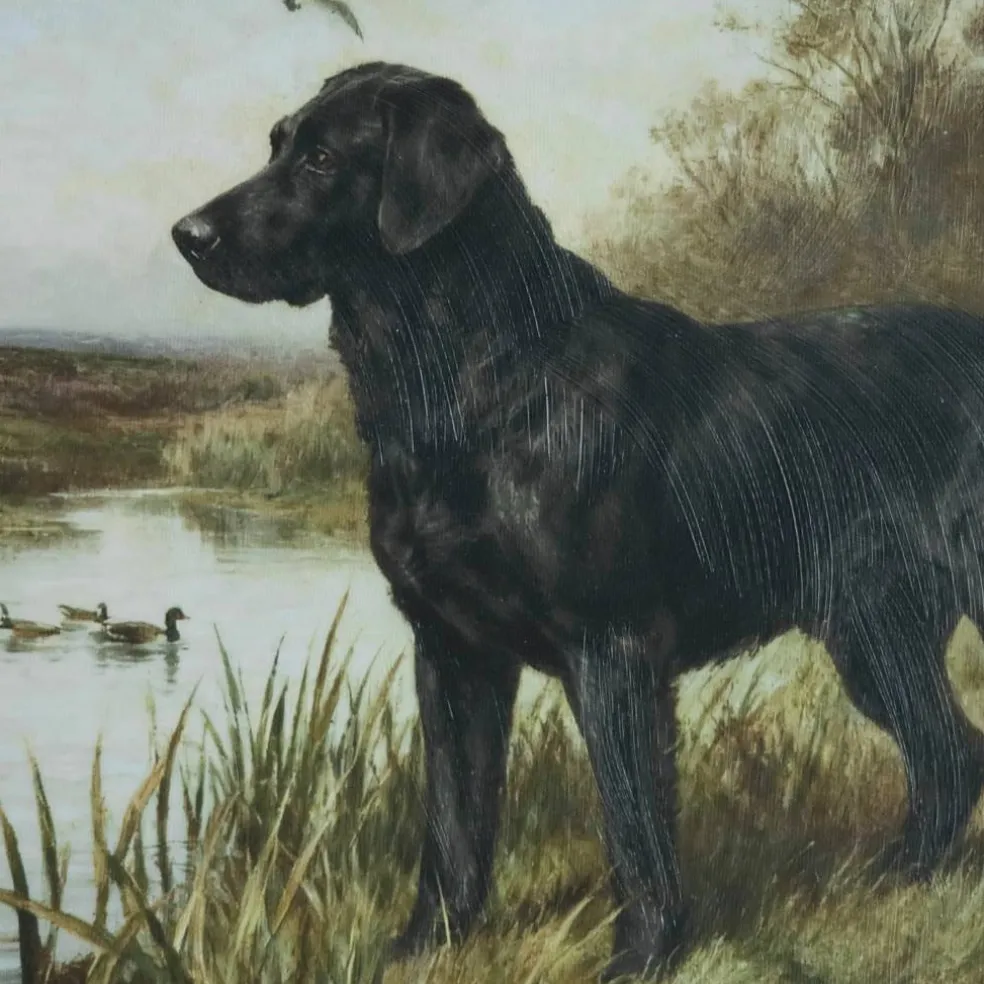 Framed Black Lab Wall Décor by Ashland®