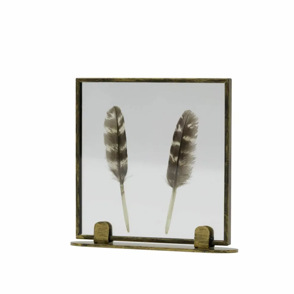Framed Floating Feather Tabletop Décor by Ashland®