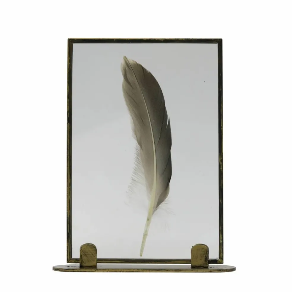 Framed Floating Feather Tabletop Décor by Ashland®