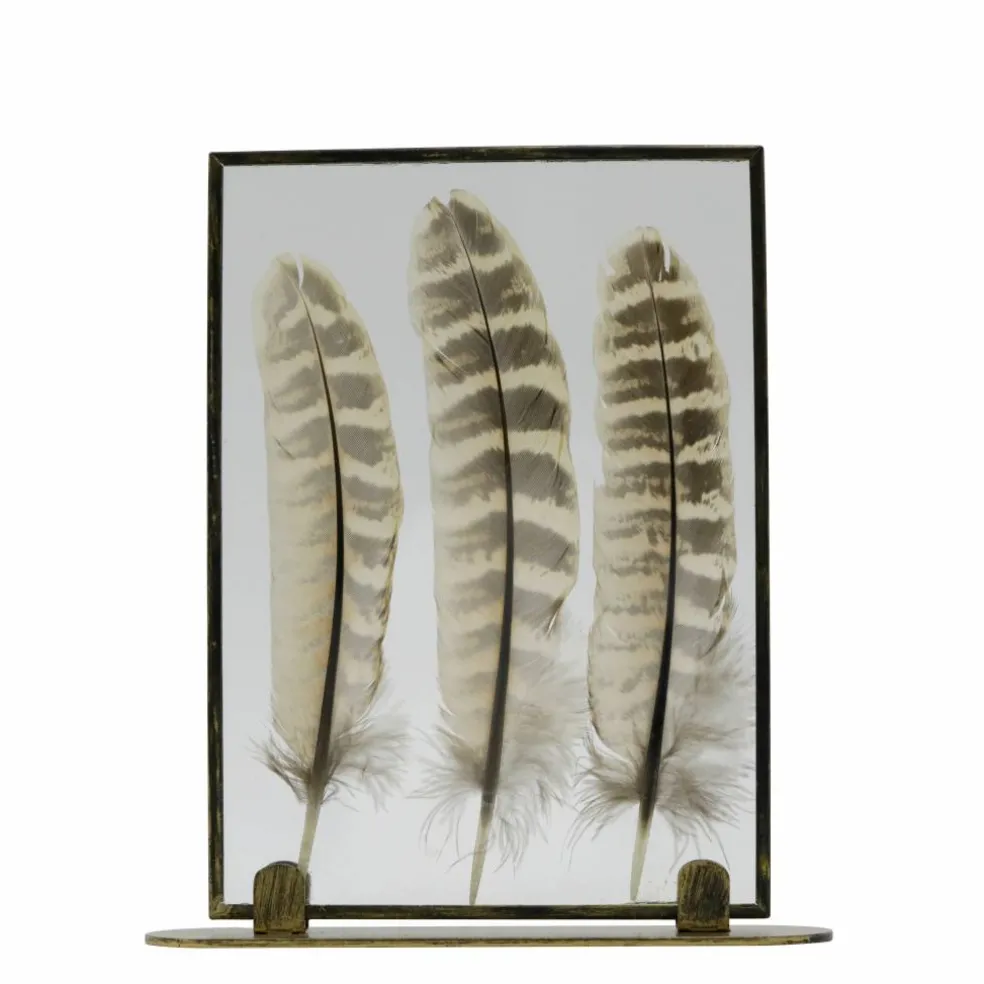 Framed Floating Feather Tabletop Décor by Ashland®
