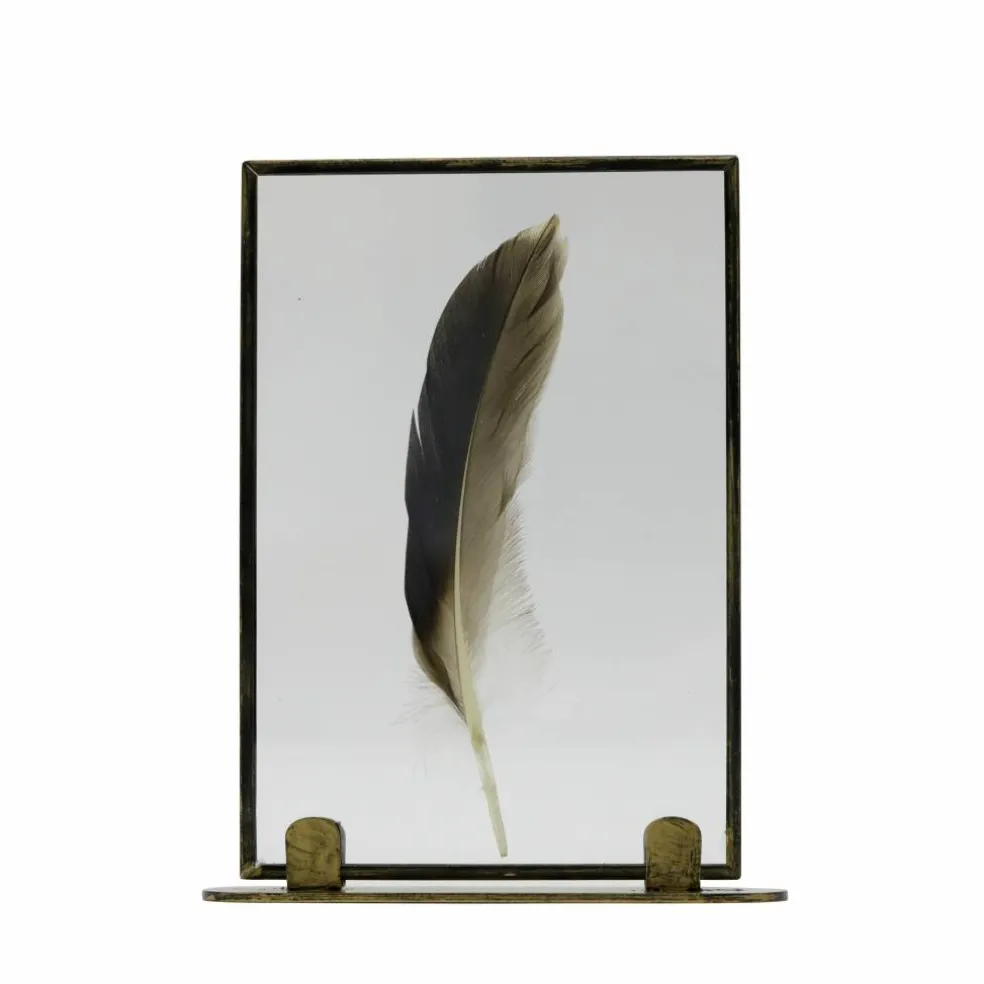 Framed Floating Feather Tabletop Décor by Ashland®