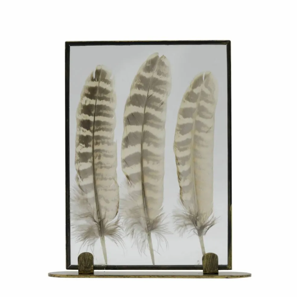 Framed Floating Feather Tabletop Décor by Ashland®