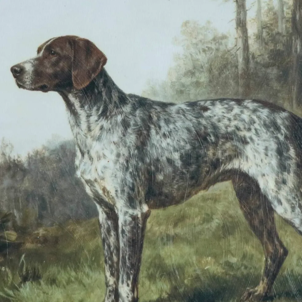 Framed German Shorthaired Pointer Dog Wall Décor by Ashland®