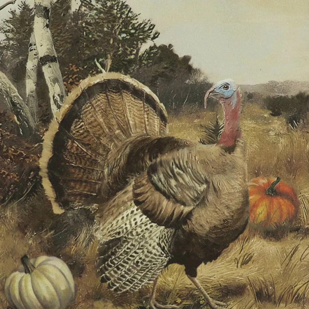 Framed Turkey Wall Décor by Ashland®