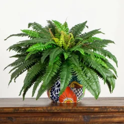 3.5ft Artificial Double Boston Fern in Handmade Mexican Talavera Ceramic Planter