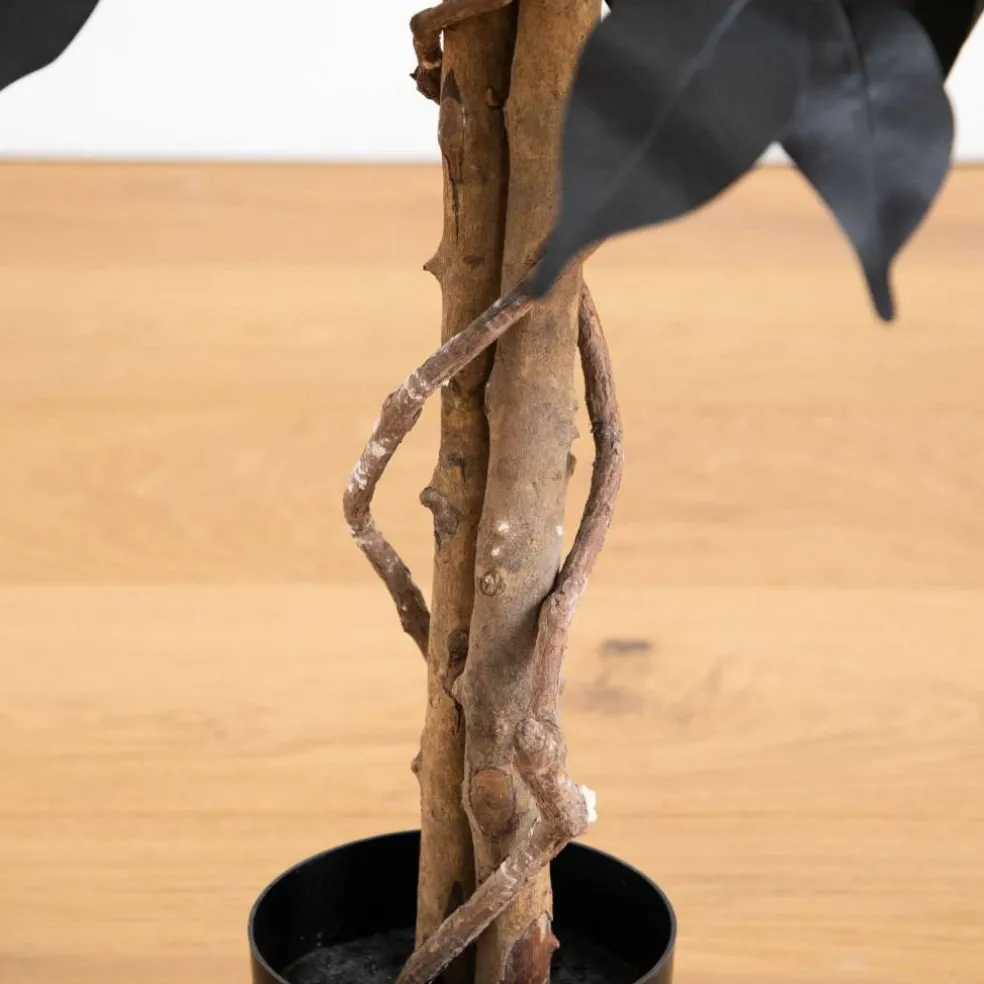3ft. Artificial Halloween Black Ficus Tree with Natural Trunk
