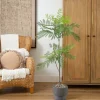 5ft. Artificial Minimalist Jacaranda Tree
