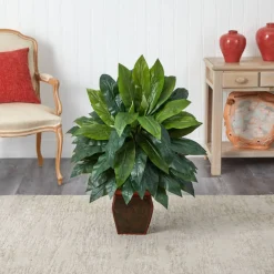 2.9ft. Cordyline Plant in Decorative Planter