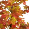 4ft. Deluxe Potted Artificial Autumn Maple Tree