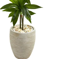 4ft. Dracaena Plant in Sand Colored Planter