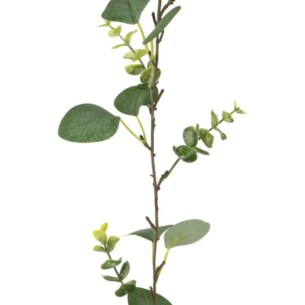 5ft. Eucalyptus Mix Coiled Garland by Ashland®