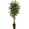 6ft. Ficus Tree in Bamboo Planter