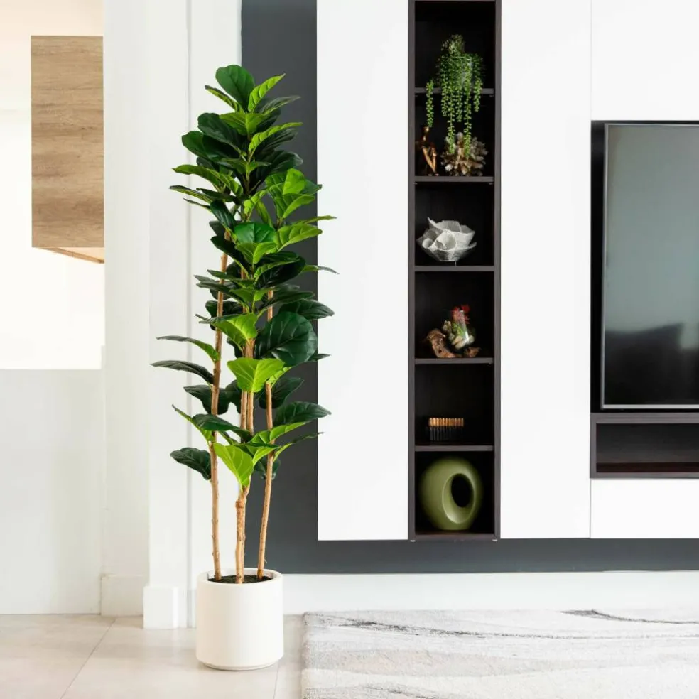 6ft. Fiddle Leaf Tree in Decorative White Planter