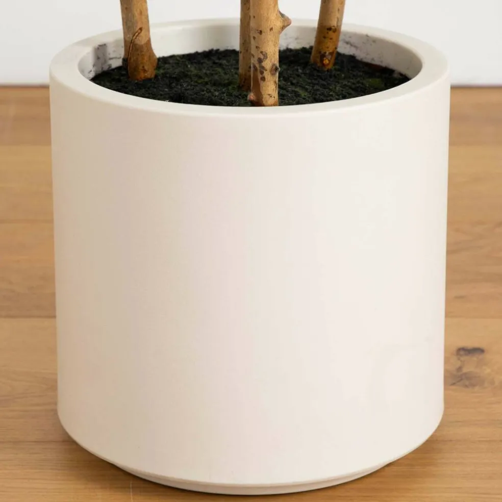 6ft. Fiddle Leaf Tree in Decorative White Planter