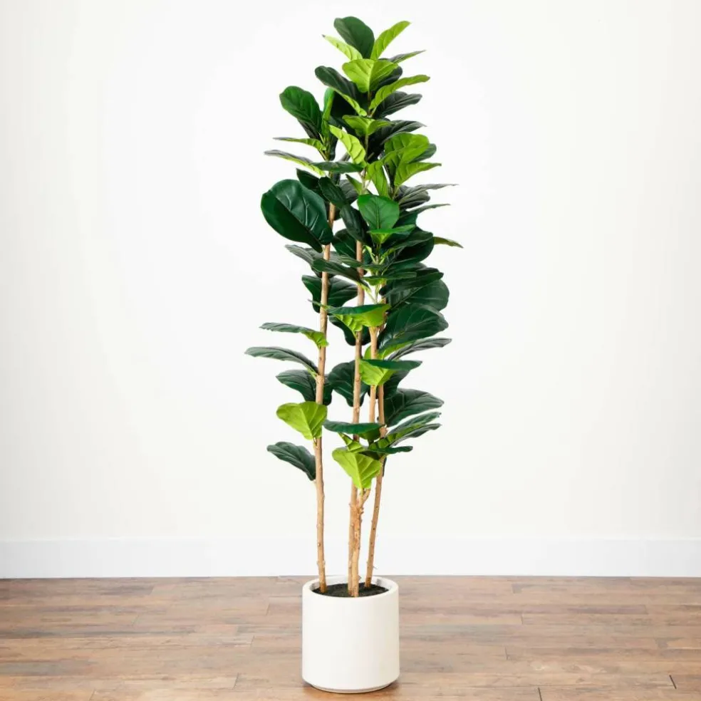 6ft. Fiddle Leaf Tree in Decorative White Planter