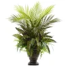2ft. Mixed Areca Palm, Fern & Peacock in Planter