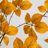 6ft. Orange Autumn Oyama Magnolia Artificial Potted Tree