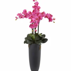 3.5ft. Phalaenopsis Orchid Arrangement with Bullet Planter
