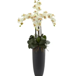 3.5ft. Phalaenopsis Orchid Arrangement with Bullet Planter