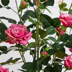 4ft. Pink Rose Tree in Black Pot