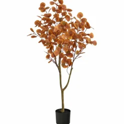 4ft. Potted Autumn Eucalyptus Tree