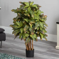 3ft. Potted Croton Tree