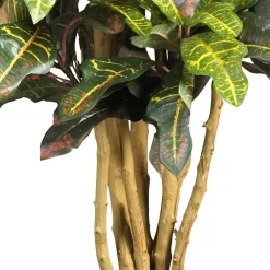 3ft. Potted Croton Tree