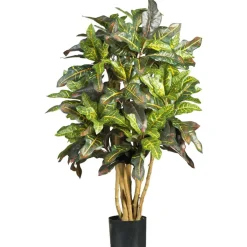 3ft. Potted Croton Tree