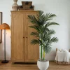 6ft. Potted Double-Stalk Golden Cane Palm Tree