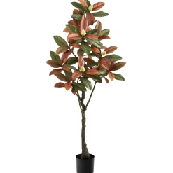 5ft. Potted Fall Magnolia Tree