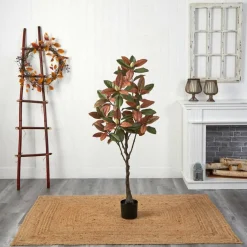 5ft. Potted Fall Magnolia Tree