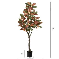 5ft. Potted Fall Magnolia Tree