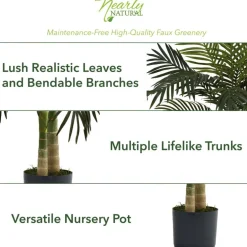 4ft. Potted Golden Cane Palm Tree